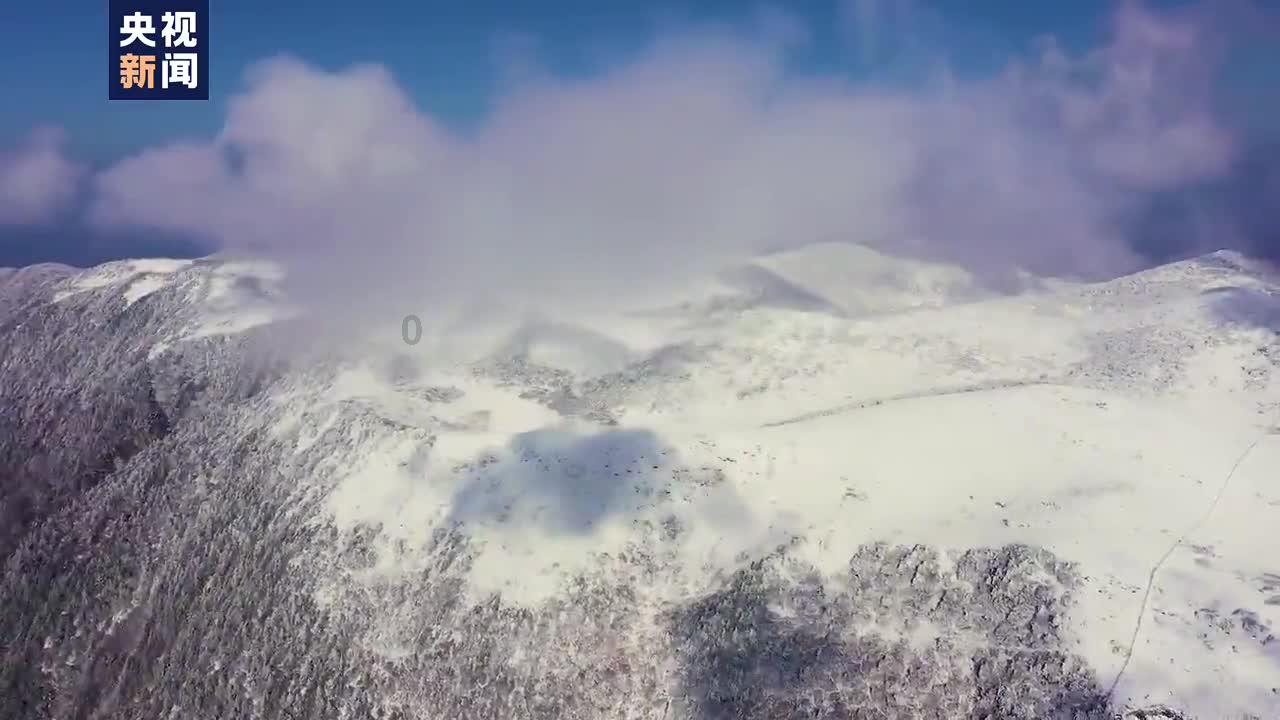 大脚车越野竞速