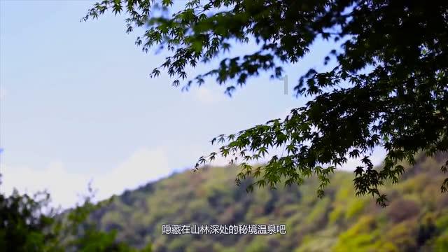 追云者编年史