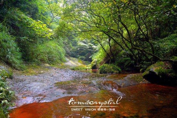西吉大山深处的篮球场，黄土地上最接地气的“村BA”