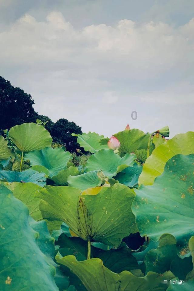 万词王