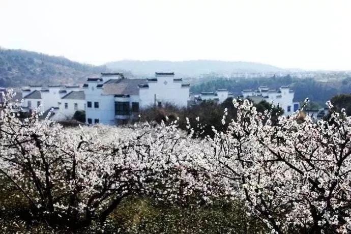 西宁市刑事案件破案率同比上升26.52%